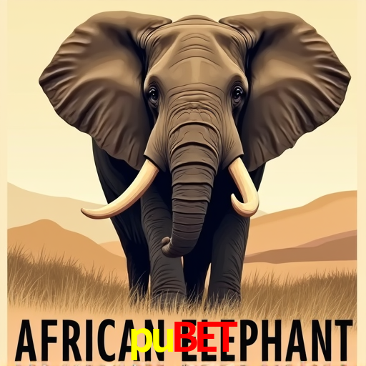 Apostas de Basquete pubet