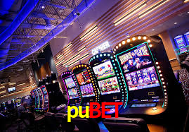 pubet.com