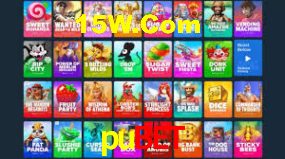 Interface Premium pubet