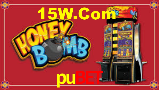 pubet login