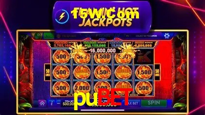 Sistemas de Segurança pubet