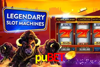 Explorando a Categoria de Eventos em Apostas na pubet