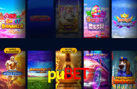 pubet login