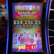 Daily Bonuses pubet