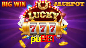 pubet login