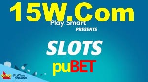 pubet login