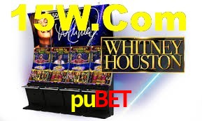 pubet App Interface