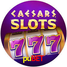pubet,pubet.com