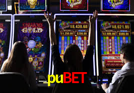 Premium Interface pubet